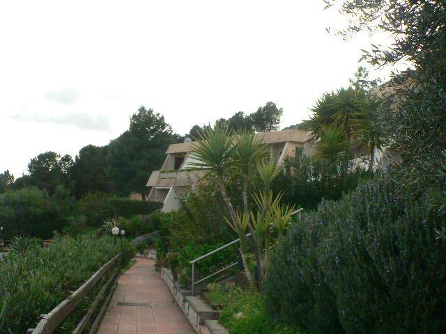 Casa Asfodeli Is Molas Sud Sardegna