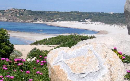 Residence Rena Majore Bilo Santa Teresa di Gallura