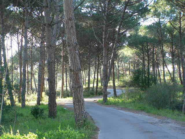 Villa Arboriamar 900m dalla Spiaggia Platamona