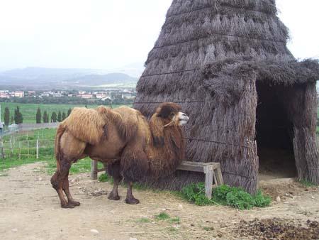 Bioparco in Sardegna: Parco degli Angeli a Giba