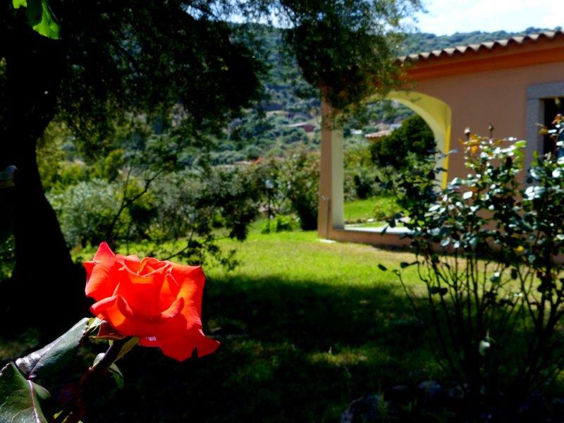 Residence Budoni Bilocale 2 in affitto a Budoni Sardegna
