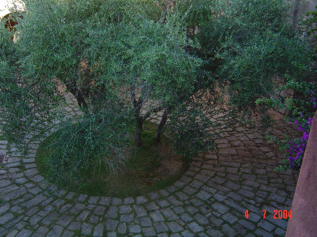 Appartamento Porto Cervo 3 Olbia Sardegna