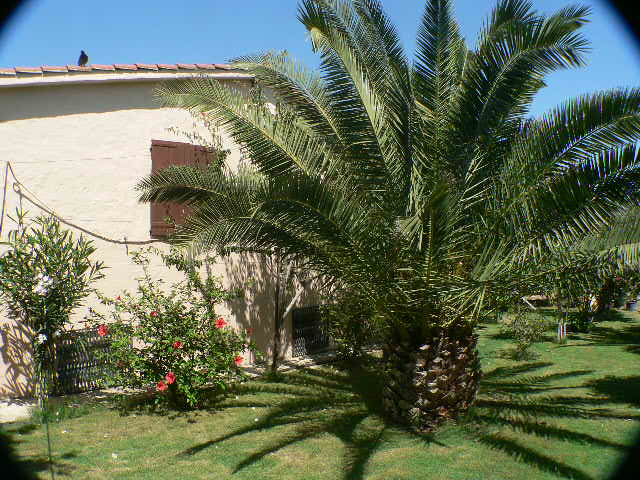 VILLA GESUINA 7pl 1000m mare