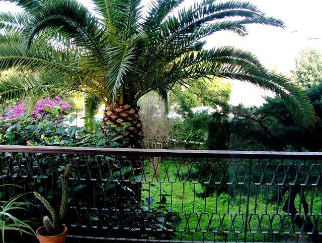 offerte B&amp;B Fiera Cagliari Sardegna